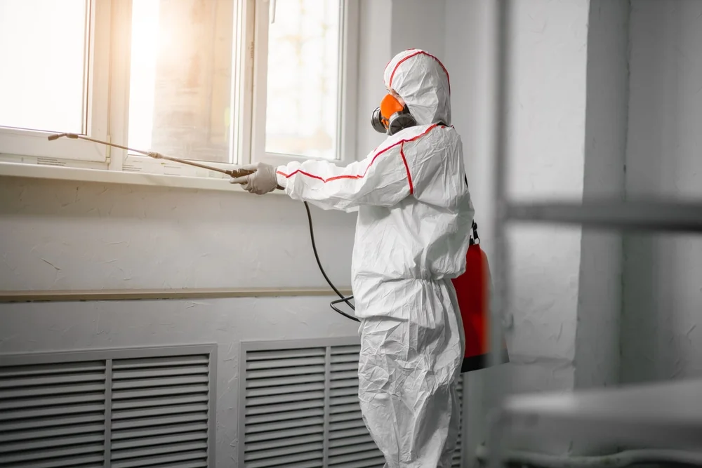 Professional mold remediation services in Ashland, VA